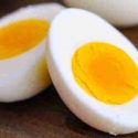 telur rebus untuk burung
