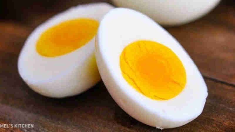 telur rebus untuk burung