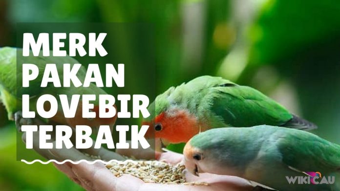 Merk Pakan Lovebird Terbaik by Wikicau Merk Pakan Lovebird Terbaik by Wikicau